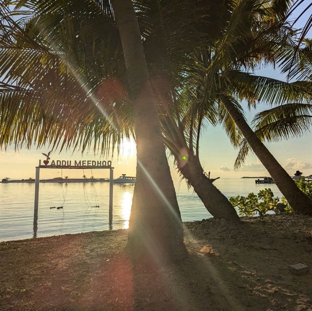 馬爾地夫Meedhoo 海邊