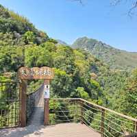 桃園｜小烏來天空步道，精彩刺激美景不斷！