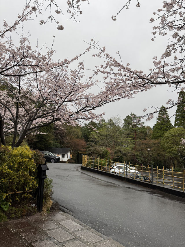 櫻櫻溫泉旅館