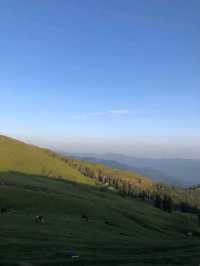 🙏 "Finding peace in petals and mountain peaks"