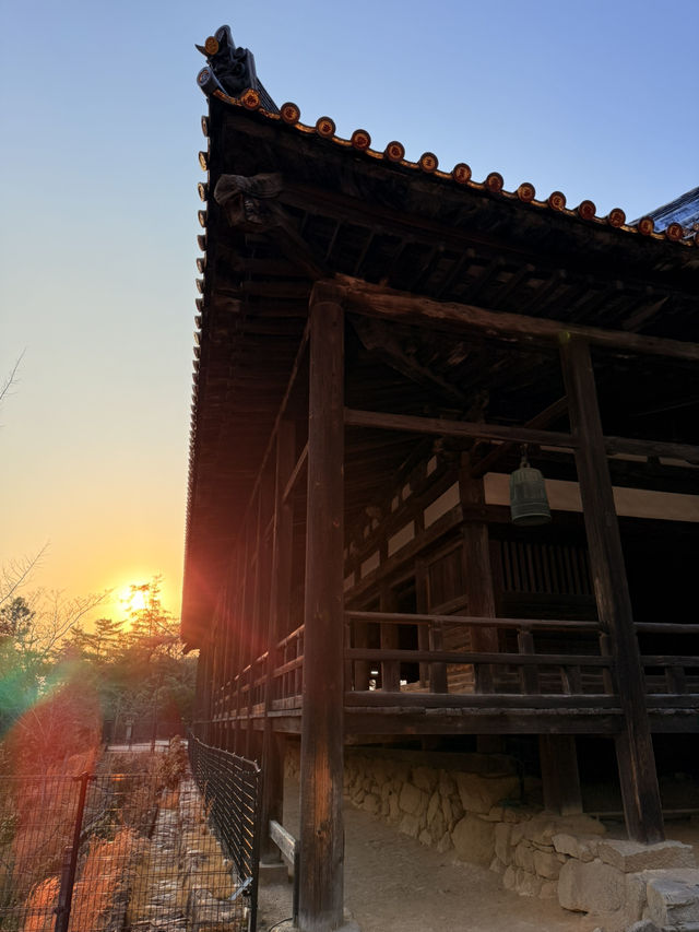 廣島｜宮島最大的木造建築 四百年未完工的千疊閣看宮島興衰繁華