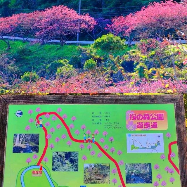 沖繩