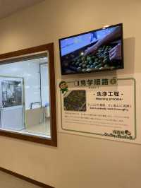 【沖縄】大宜味村 入場無料で楽しめるシークヮーサーパーク