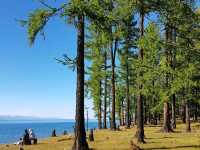 Khovsgol’s Wild Beauty: Moose, Mirror-Like Lakes, and Sustainable Adventures