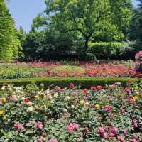 復興公園