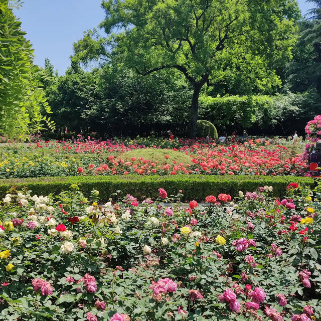 復興公園