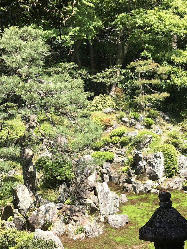 【青岸寺の苔の庭で深呼吸をしませんか。滋賀県　米原市 】