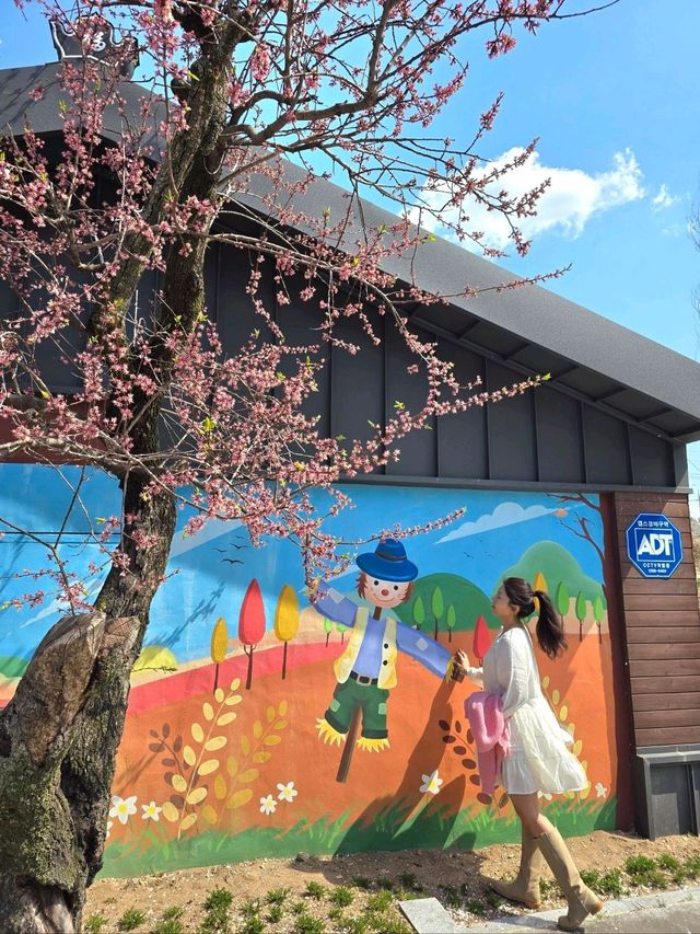 벚꽃향기 가득한 낭만가득 청도여행지🌸
