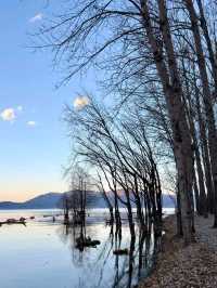 Shenjiang Village: Spring’s Secret Charm