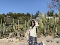  **🌵【廈門必打卡】園林植物園多肉區：闖入奇幻沙漠綠洲，與3000種多肉共舞！🏜️**  