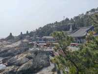 釜山櫻花季滿滿幸褔的海邊廟宇~海東龍宮寺