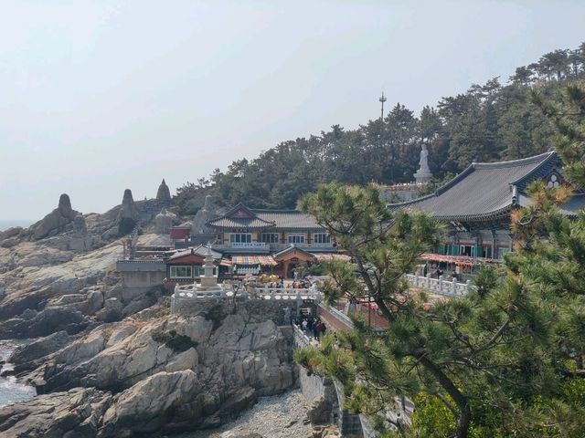釜山櫻花季滿滿幸褔的海邊廟宇~海東龍宮寺