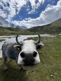 Where Culture Meets the Clouds – Explore Western Sichuan