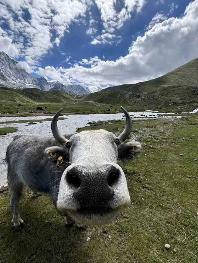Where Culture Meets the Clouds – Explore Western Sichuan