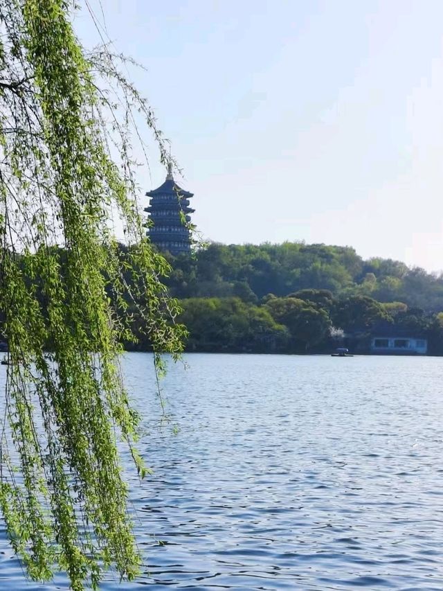 Beauty of hangzhou