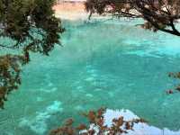 Jiuzhaigou: Where Nature Paints a Living Fairytale