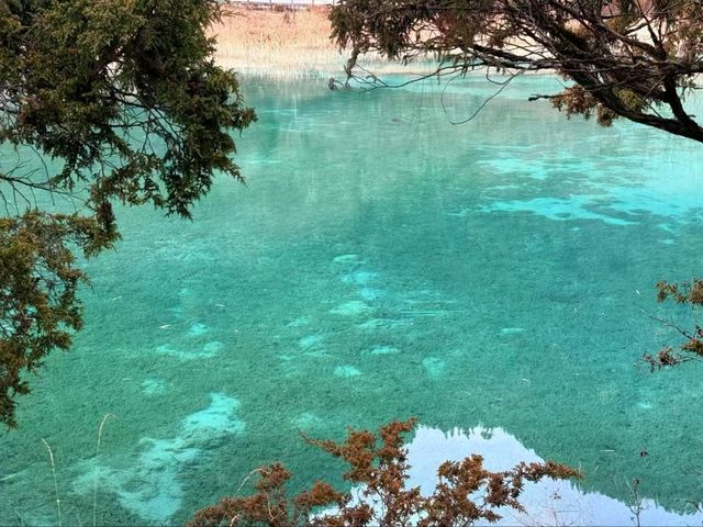 Jiuzhaigou: Where Nature Paints a Living Fairytale