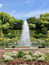 Spring Blooms at the Kyoto Botanical Gardens Rose Garden