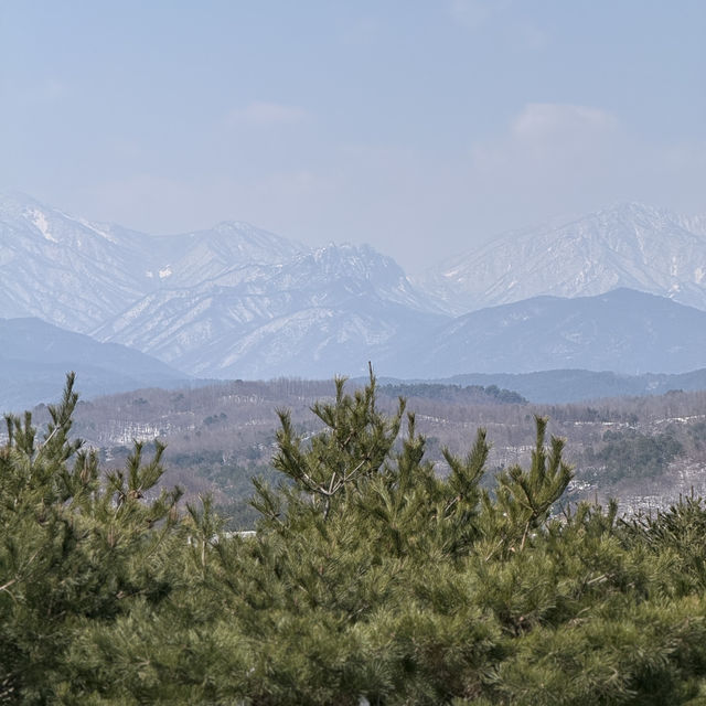 눈 내린 3월의 낙산사, 설악산과 바다를 품은 고요한 사찰