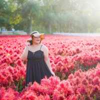 ถ่ายรูปวิวญี่ปุ่นเขาใหญ่กัน