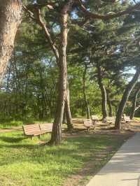 드넓은 초록이 반겨주는 올림픽공원🌳🛼