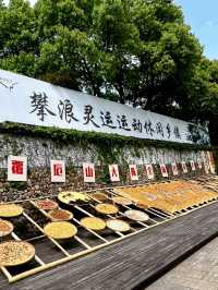 Zhangjiatian Village: A Landscape Shaped by Time