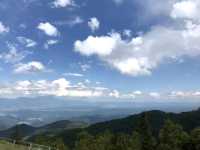 諏訪の自然と文化を味わう旅へ！諏訪大社×高原美術館×美しの塔⛩️⛰️🖼️ 