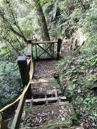 新店第一高峰-獅仔頭山｜古道遺跡探險路線推薦！