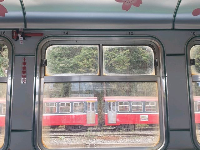 อาลีซาน 阿里山