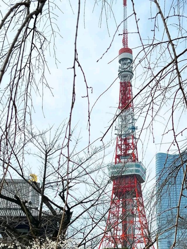 🌆 Neon Dreams: Staying in Tokyo, Japan! 