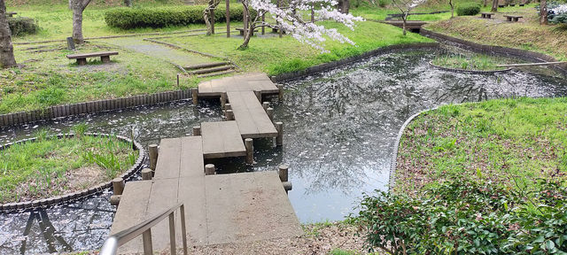 熊本県 立岡自然公園 ベストシーズンに来れたけれど．．．
