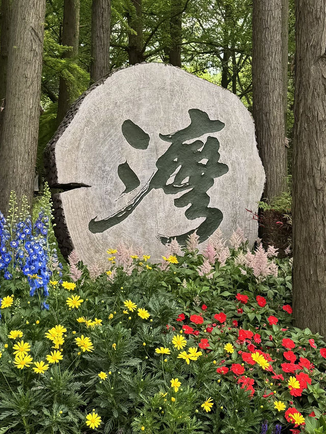 Snapdragons & Serenity: Spring Stroll in Taiziwan Park