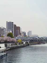 東京｜隅田川一日遊