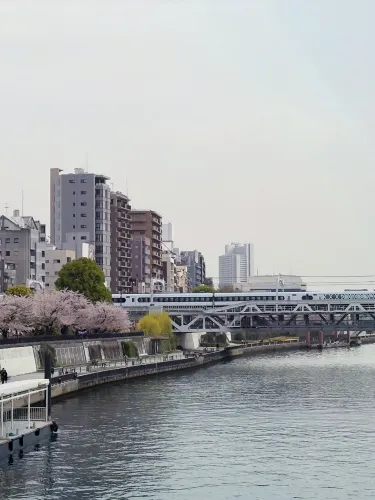東京|隅田川での1日観光