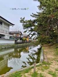 江戸時代から残る櫓門など、歴史感じる土浦城🏯