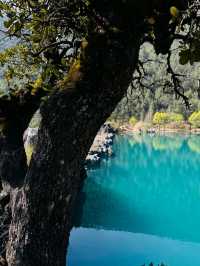 8 Days Across Yunnan: A Scenic Soul Reset from Dali to Shangri-La