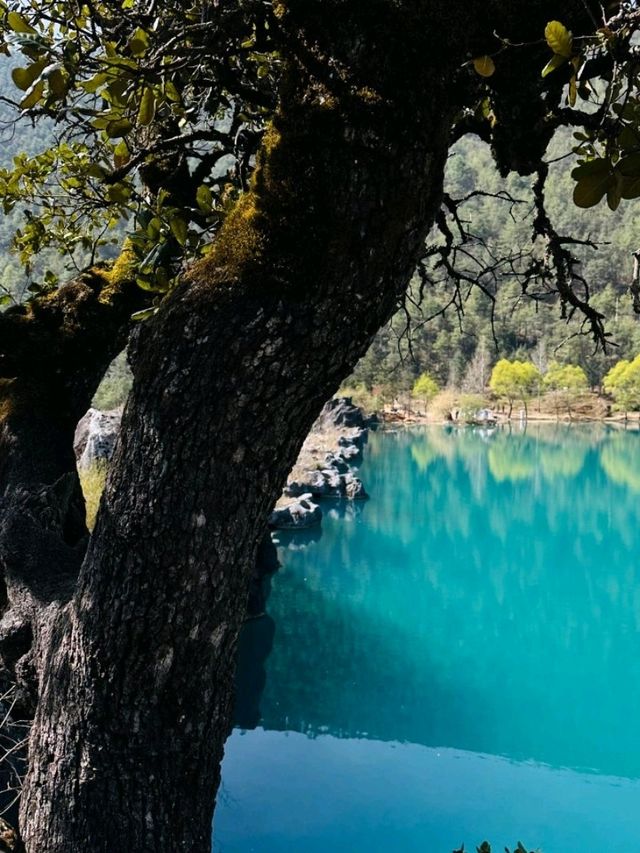 8 Days Across Yunnan: A Scenic Soul Reset from Dali to Shangri-La