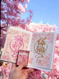 Sakura-Strolling in Sakura-Shinmachi: A Blooming Tribute to Spring