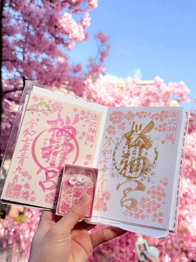 Sakura-Strolling in Sakura-Shinmachi: A Blooming Tribute to Spring