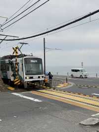 Tokyo thrills, Fuji chills 