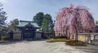🌙 Kōdaiji: Kyoto’s Nighttime Magic & Bamboo Whispers 🌙