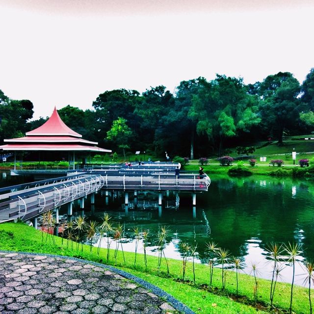 Exploring MacRitchie Reservoir Park: A Natural Escape in Singapore