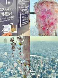 Share My Tokyo Cherry Blossom Citywalk Route 🌸