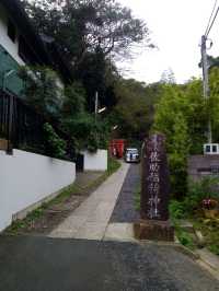 【鎌倉】鳥居が並ぶ🦊佐助稲荷神社
