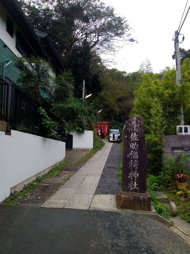 【鎌倉】鳥居が並ぶ🦊佐助稲荷神社