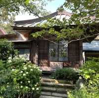 【鎌倉】風情ある茅葺きの山門 手前の紫陽花