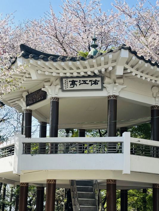 A Pink Embrace Above the at Subong Neighborhood Park