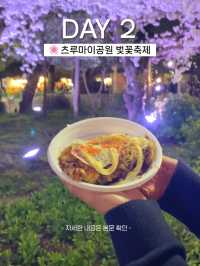 나고야 여행 2일차 일정 (벚꽃여행일정)