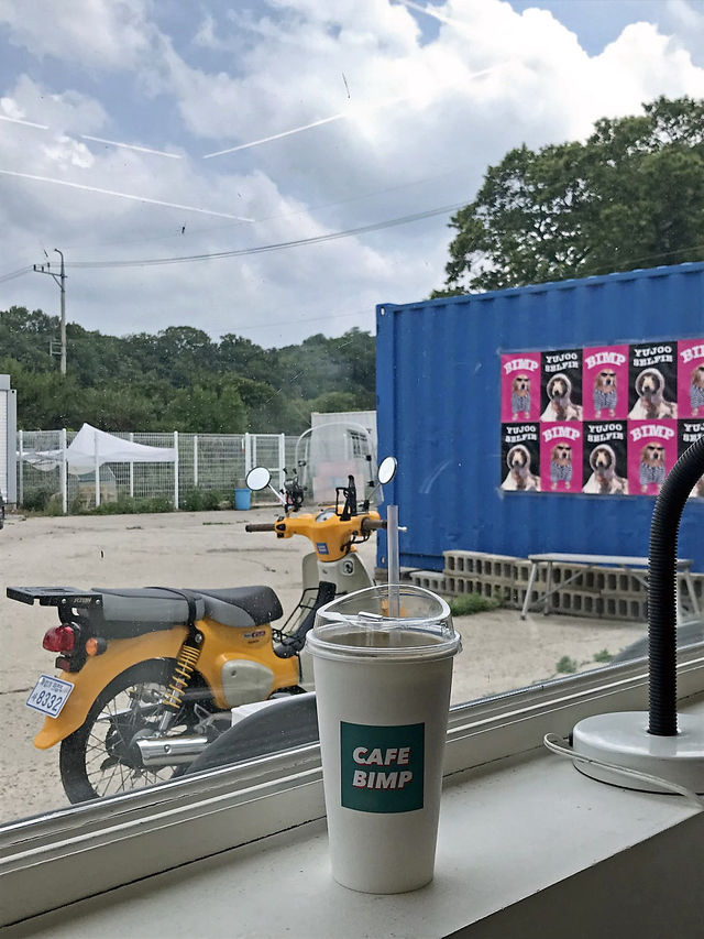 애견동반 가능한 힙하고 트렌디한 카페