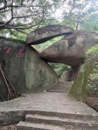 植物種類繁多的廈門園林植物園